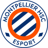 MHSC_Esportlogo_square